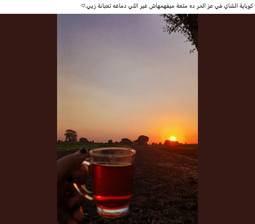 ميمز على شرب الشاي في الحر
